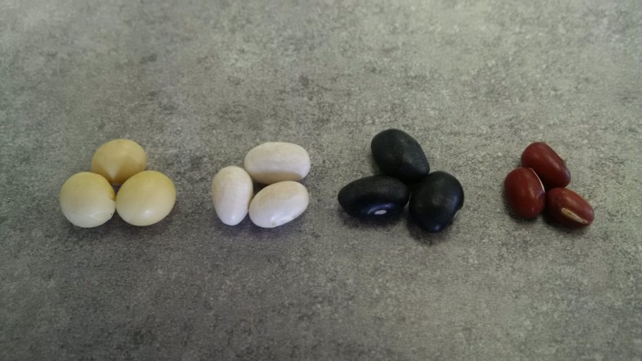 Comparing the Profitability of Soybeans and Dry Edible Beans Field Crop News