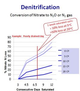 denitrification graphic