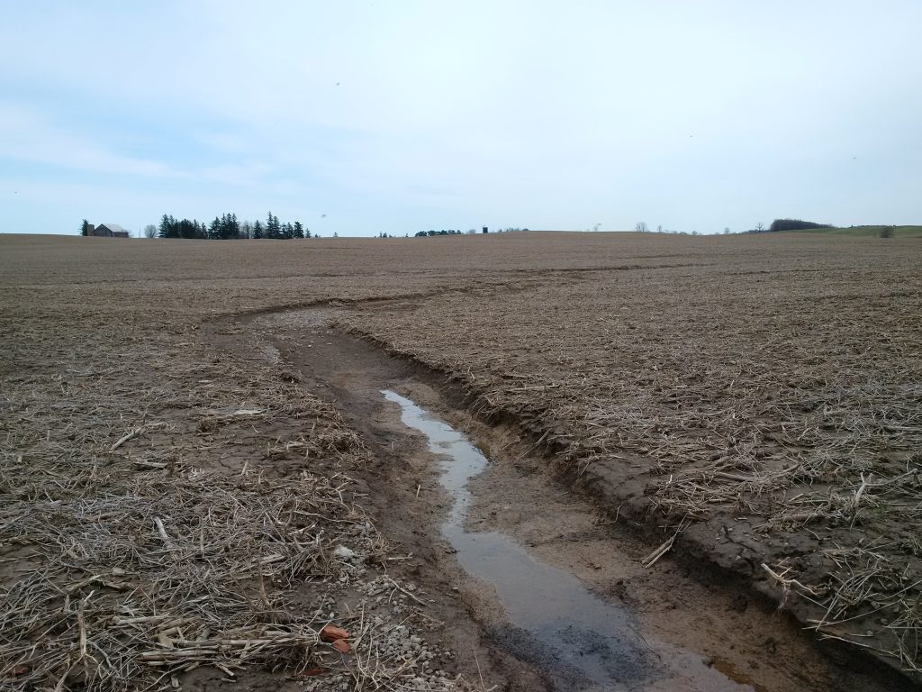 The effects of spring runoff on a farm field in the 2017. The soil lost to water erosion carries phosphorus with it.