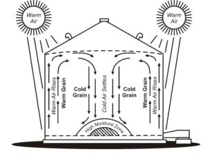 Diagram of a grain bin showing cool air settling down through the centre of a cold grain mass and rising up the inside wall of a grain bin being warmed by the sun, resulting in a zone of high moisture at the bottom of the bin in the centre.