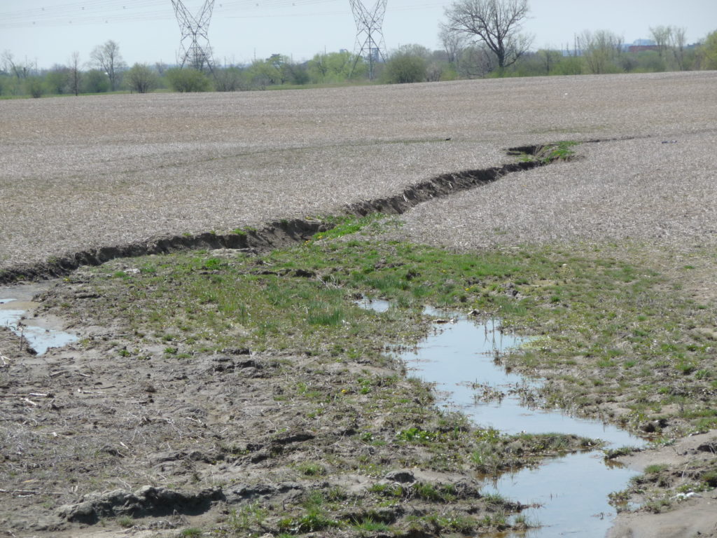 Figure 1. Gully erosion can result in significant loss of nutrient rich soil.