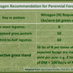 Nitrogen Rec for Forages