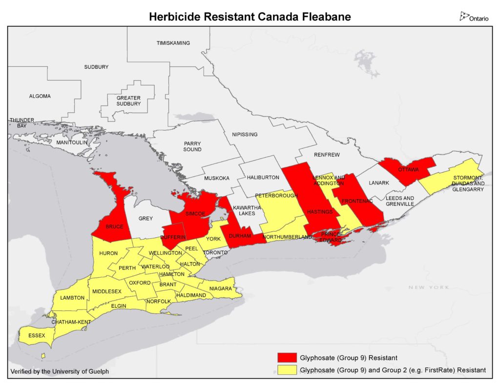 Counties with Canada fleabane resistant to glyphosate and group 2 (e.g. FirstRate) from 2010-2015