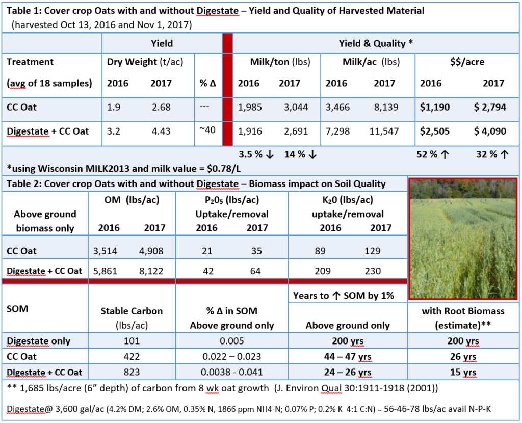 Synergy of Cover Crops with Manure Application – Field Crop News