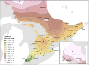 map depicting the optimum planting dates for winter wheat across Ontario