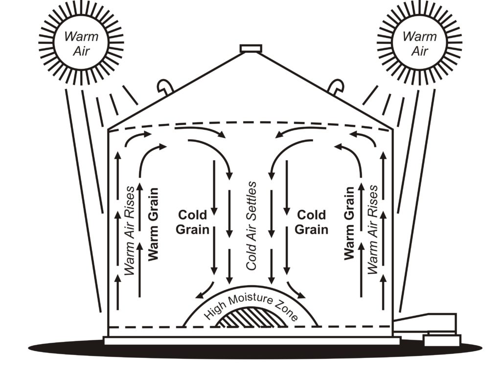 Storing grain safely into summer (and beyond!) – Field Crop News