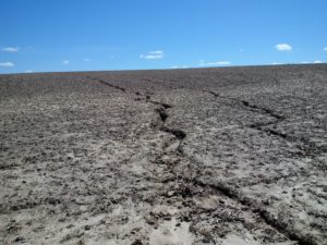 rill erosion on a steeply sloped field