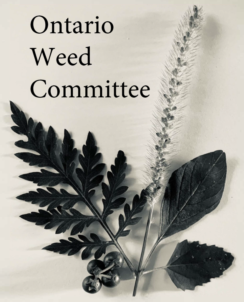 Ontario Weed Committee