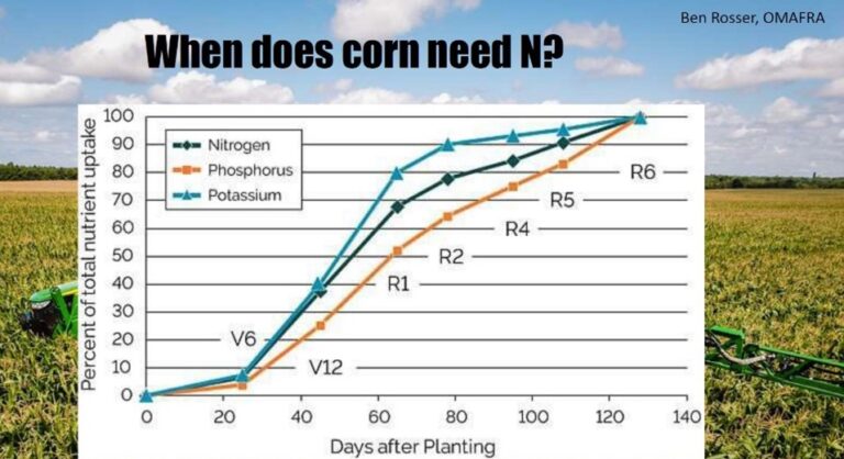 Maximizing Nitrogen from Manure for Corn – Field Crop News