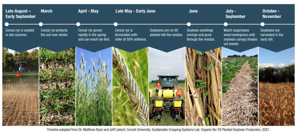 images showing timeline of organic no-till soybean system