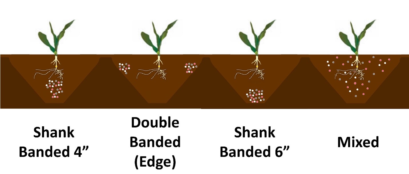 Investigating Fertilizer Placement and Safe Fertilizer Rates in Strip