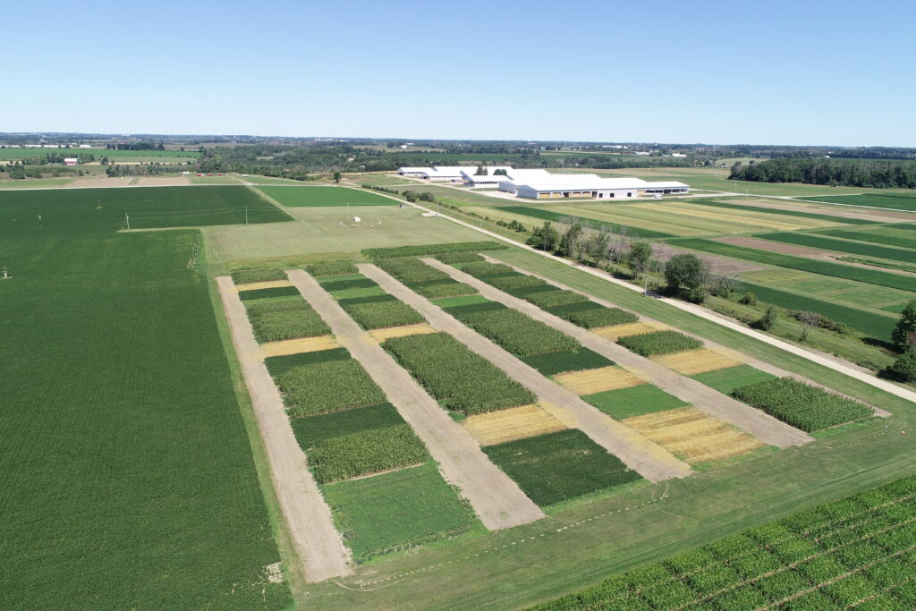 overhead view of small research plots