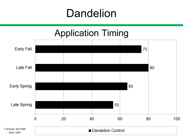 Dandelion Application Timing Chart