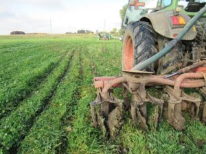 Injecting anaerobic digestate after wheat harvest into a growing cover crop to maximize soil health benefits and economic value of nutrients.