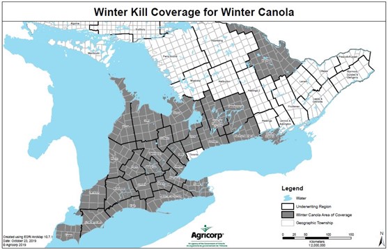 Figure 1. Areas where Agricorp offers winter kill coverage for insured winter canola (grey on map).