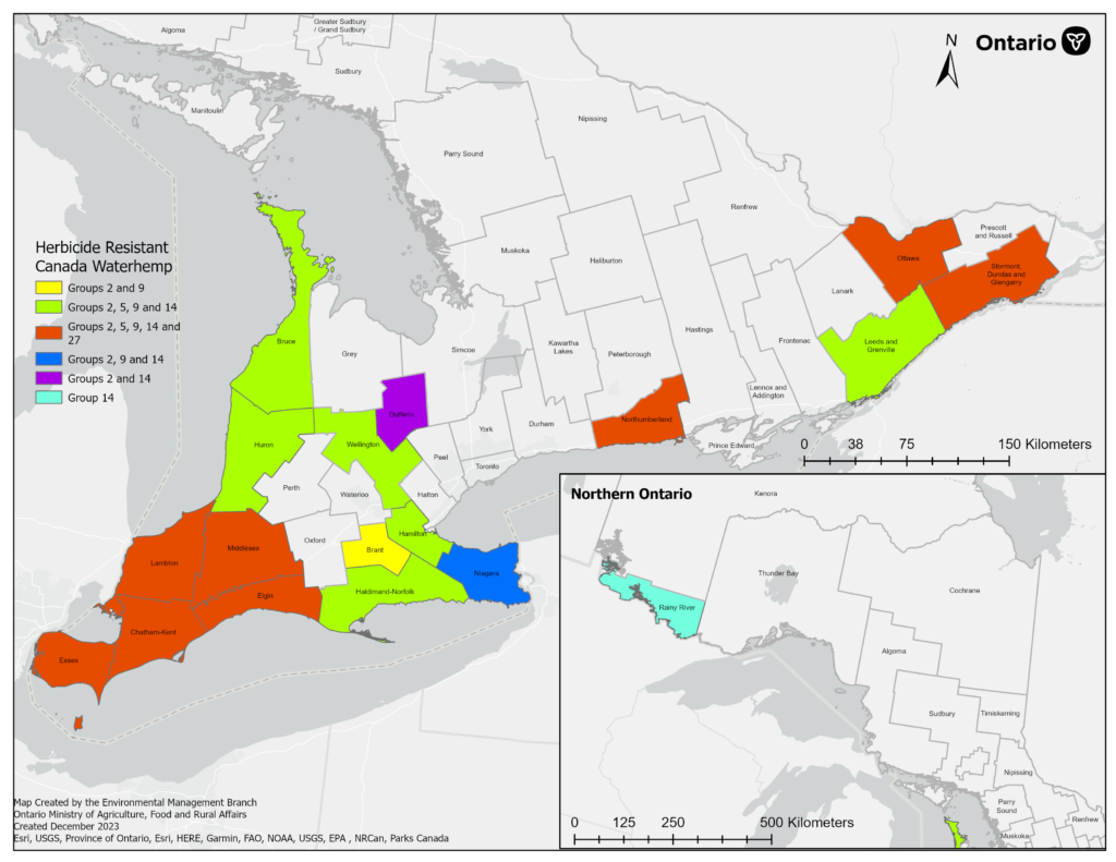 Figure 3. Map of Herbicide Resistance to Canada Waterhemp in Ontario.