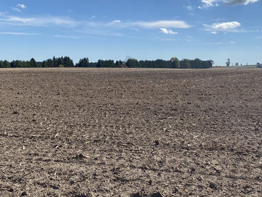 tilled field with evergreen trees in the background