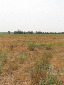 Dry weather limited pasture regrowth and strained livestock water supplies.