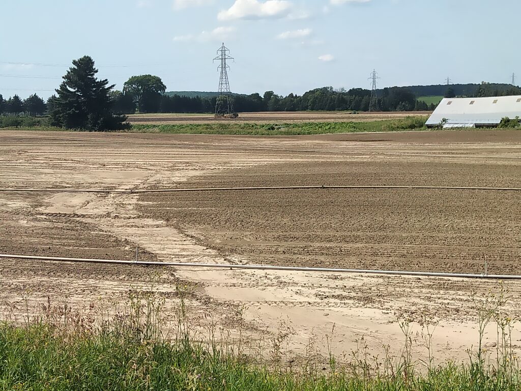field with bare soil, grass in foreground, trees and single white building in background.