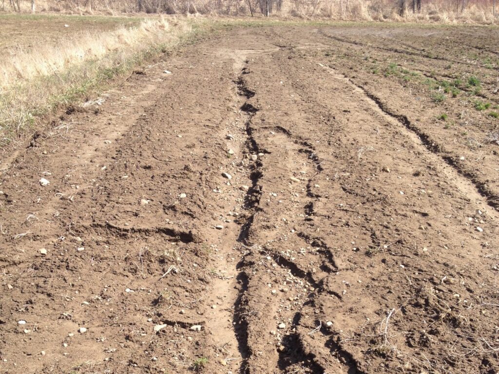 bare soil with cuts in it