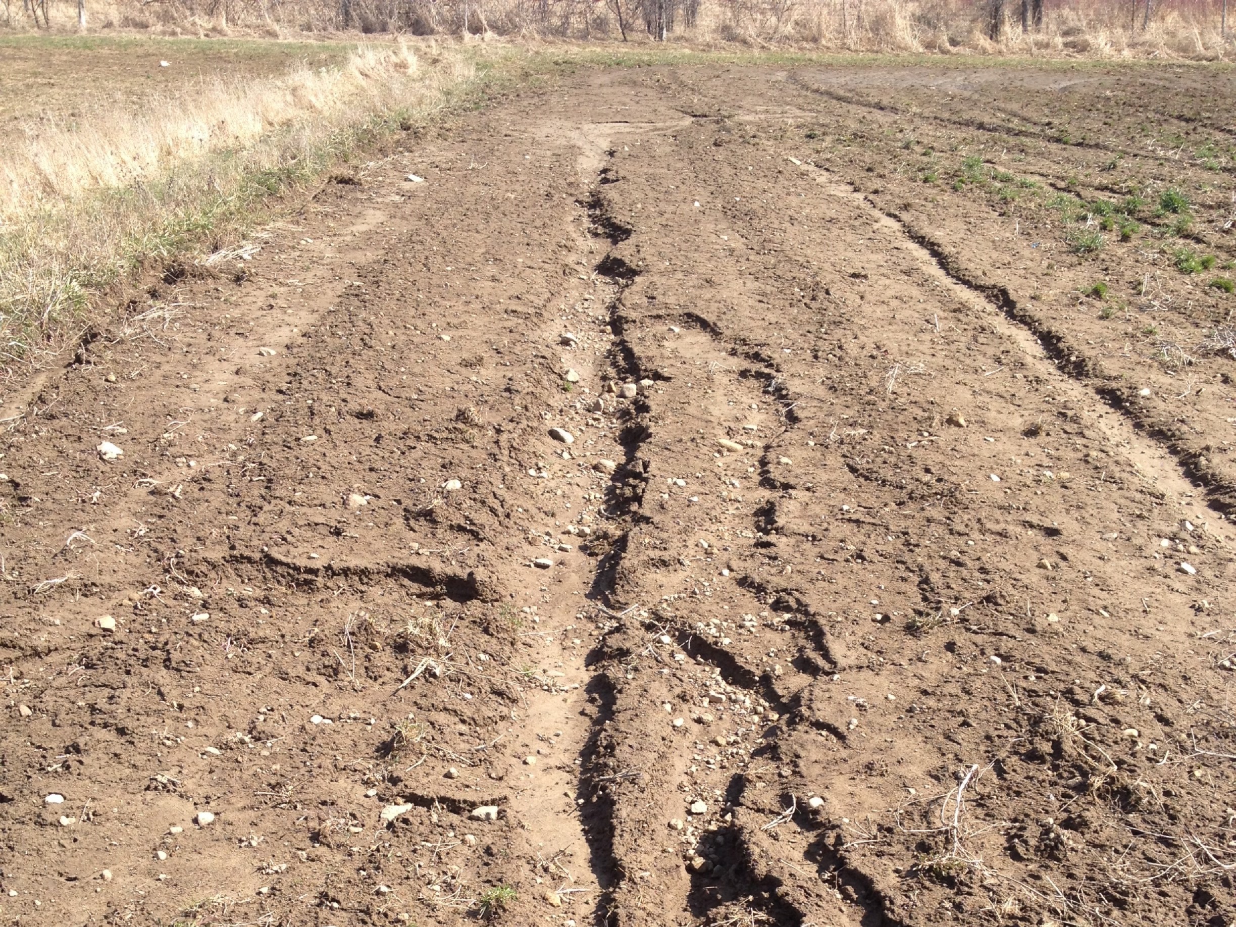 bare soil with cuts in it