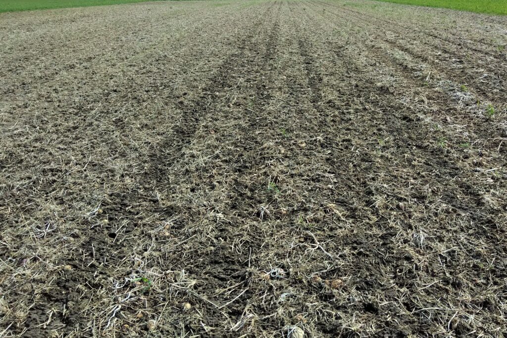 Overhead view of field with residue cover on top