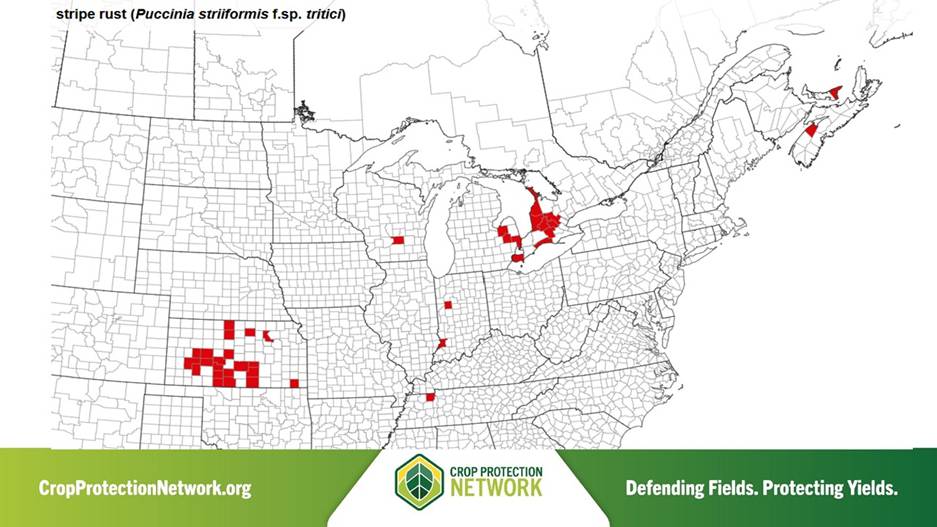 Stripe Rust map June 2, 2026. Source: Crop ProtectionNetwork.org