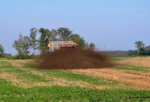Compost application into standing cover crop after wheat harvest.