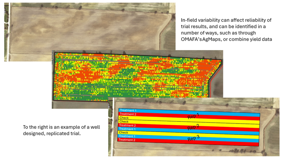Proper trial setup is critical to assess how changes to management affect the bottom line.